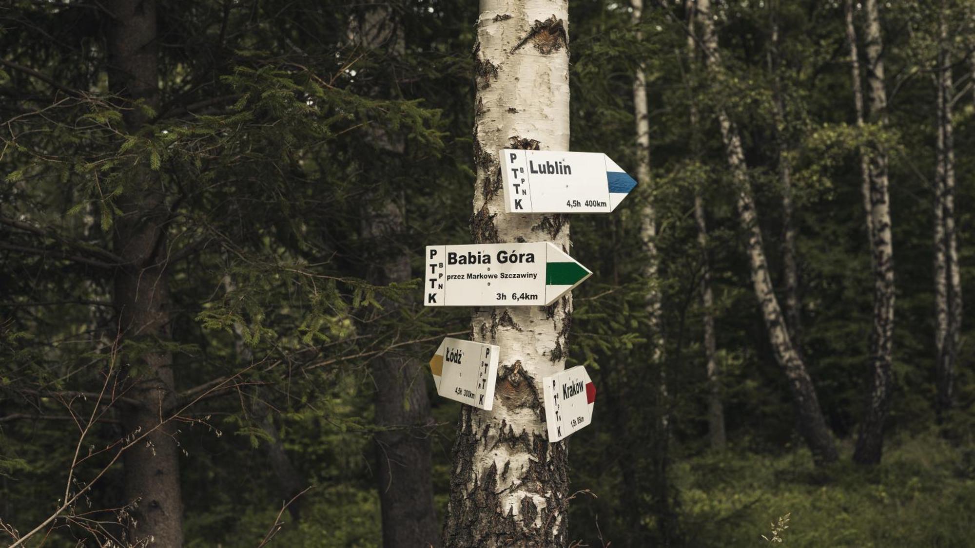 Villa Slow Life Pod Babia Gora Zawoja